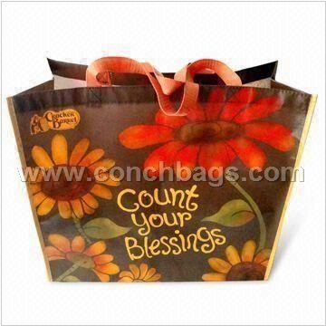 Nonwoven Shopping Bag with Fashionable Design