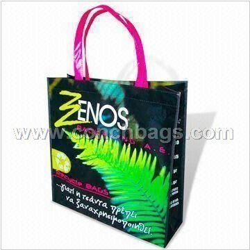 PP Non-woven Shopping Bag, Eco-friendly